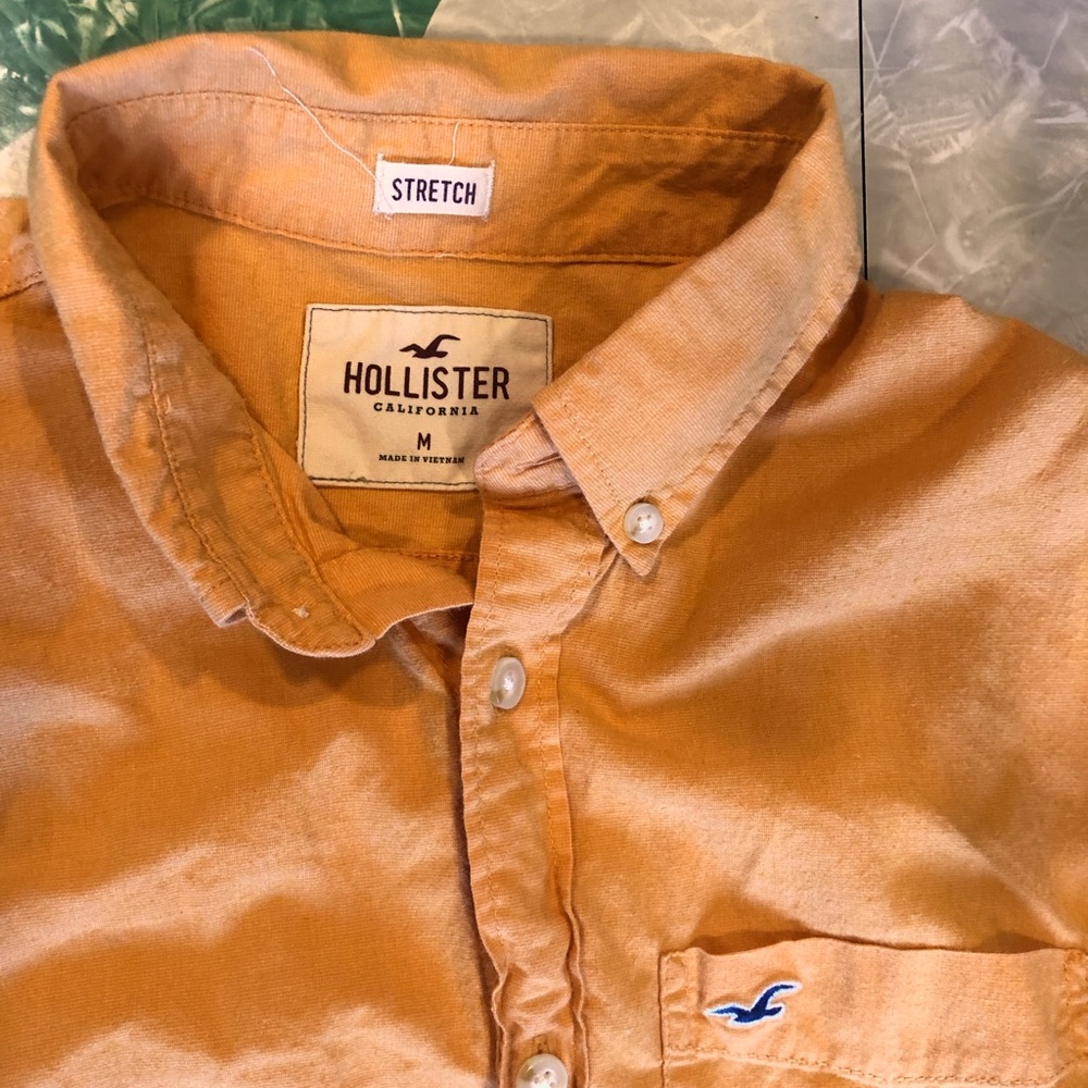 HOLLISTER Mens M stretch springtime button-down